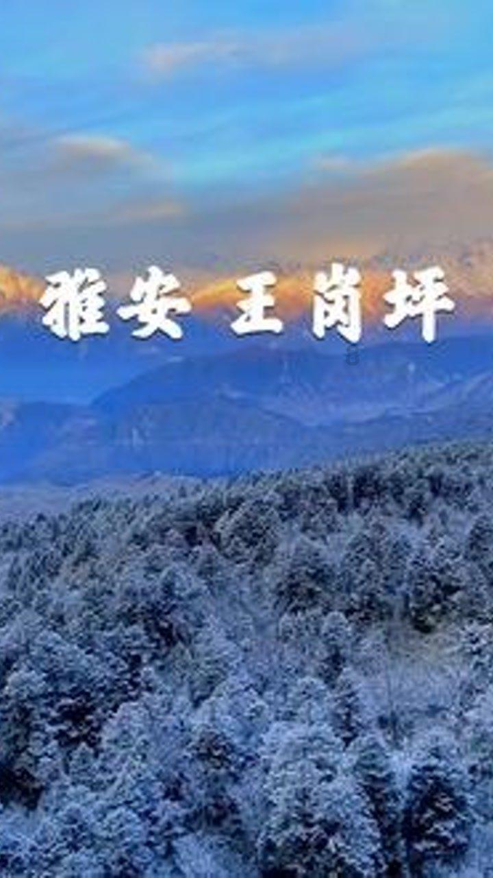 小企鹅逃生