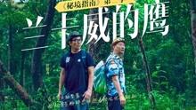 逃离整洁的庭院