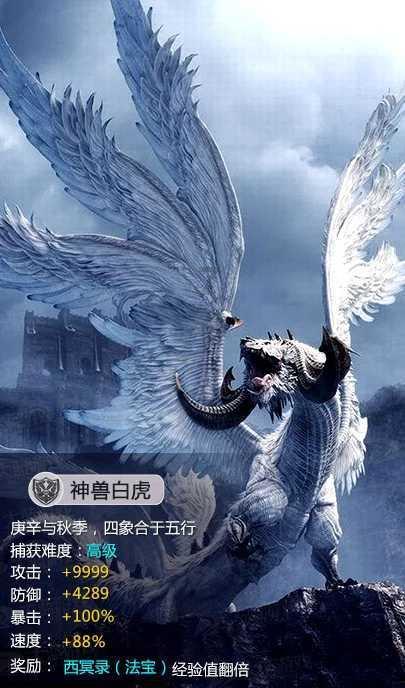 动物拼一拼