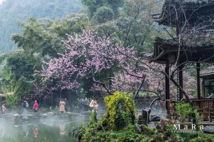 粉底液是什么游戏画面