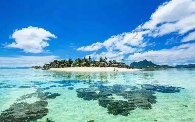 失忆的流浪者