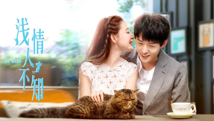 救援呆萌的猫