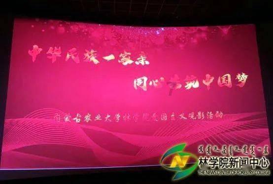 航拍浙江温州苍南霞关渔港风光