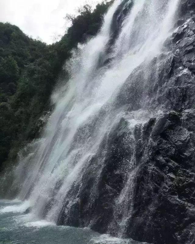 熊仔拼图