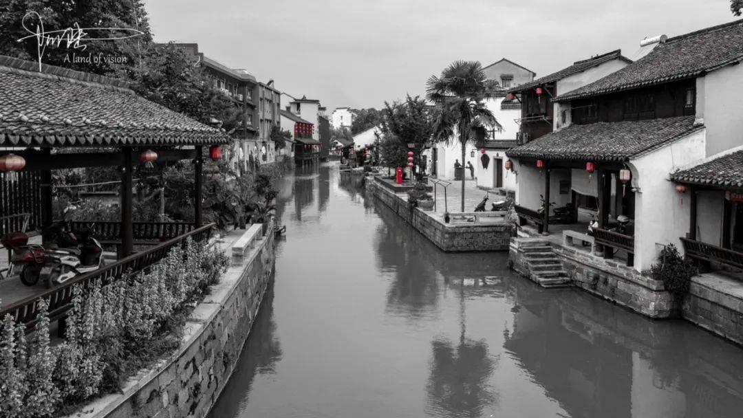 救援鹦鹉