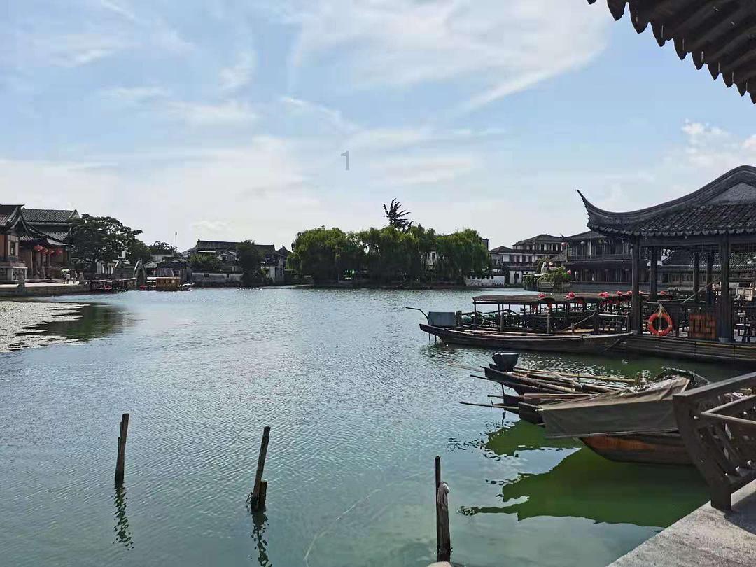 保护僵尸火种