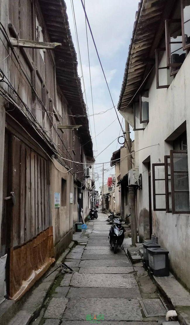 千年树屋逃脱2