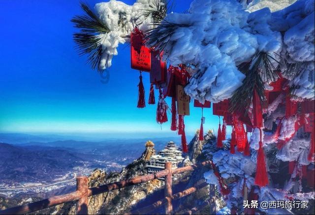 荒岛枪训
